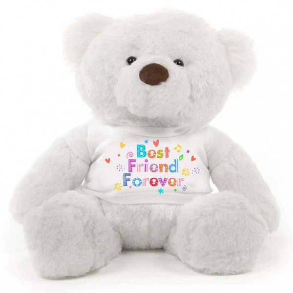 White 2 feet Fur Face Big Teddy Bear wearing a Best Friend Forever T-shirt